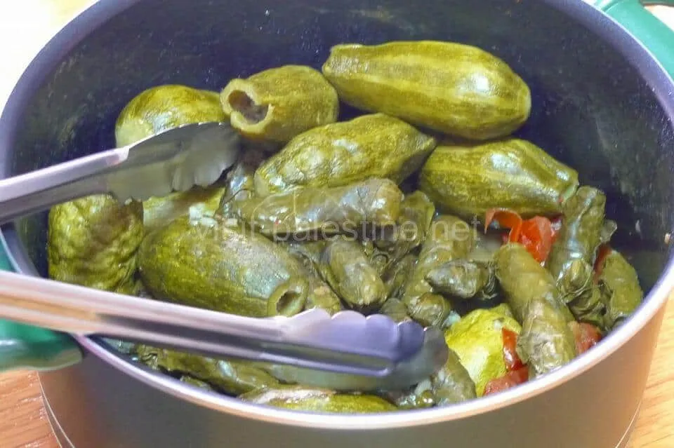 パレスチナのマハシ・ワ・ワラク